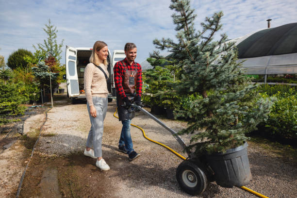 Mulching Services in Moosic, PA